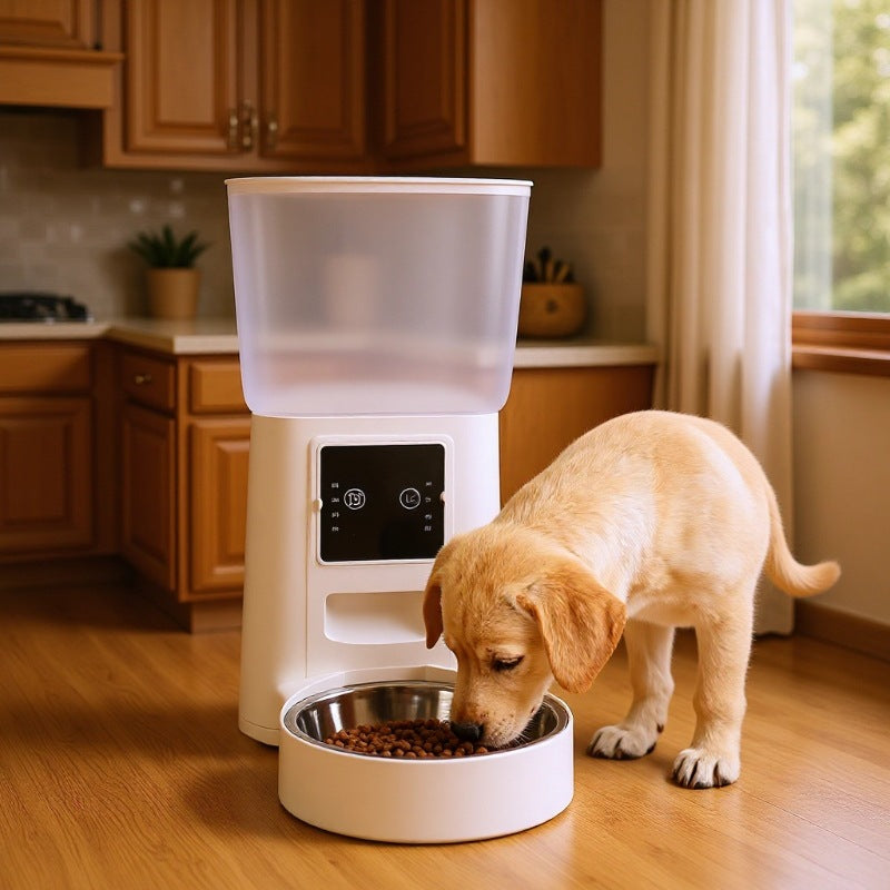 Pet Automatic Feeding Device