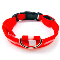 LED light-up collar