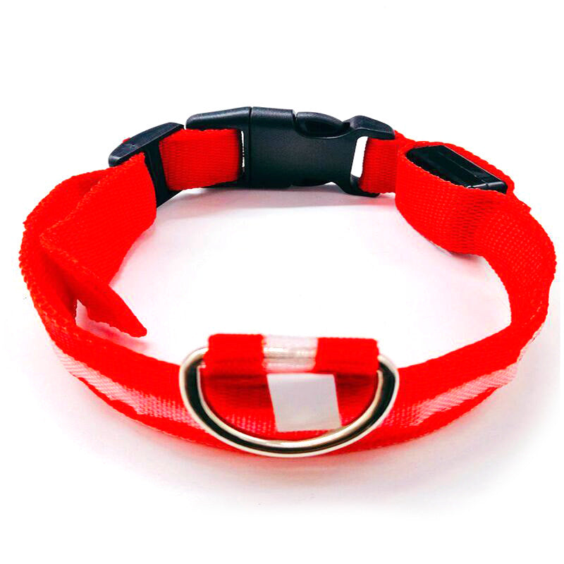 LED light-up collar