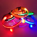 LED light-up collar