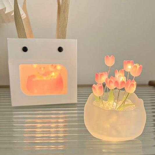LED night light