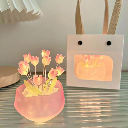 LED night light