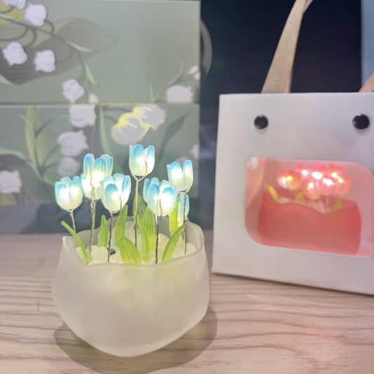 LED night light