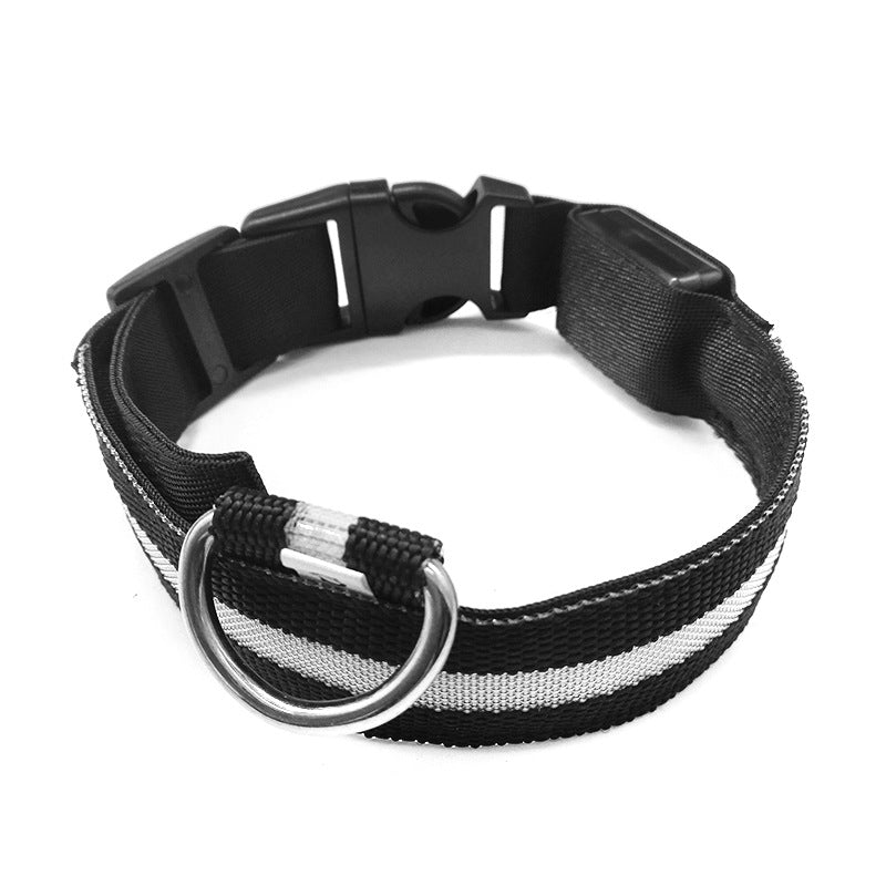 LED light-up collar