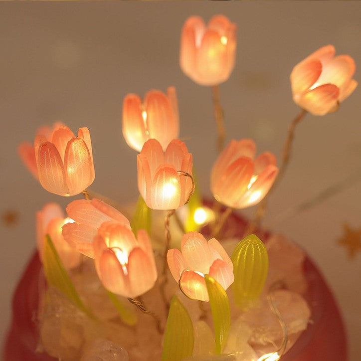 LED night light